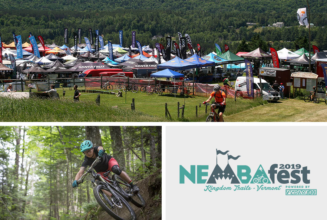 NEMBAfest